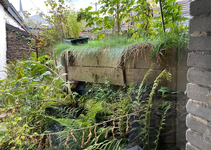 Residence Du Mini Jardin