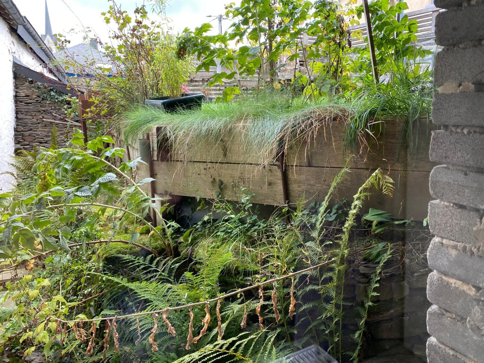 Du Mini Jardin